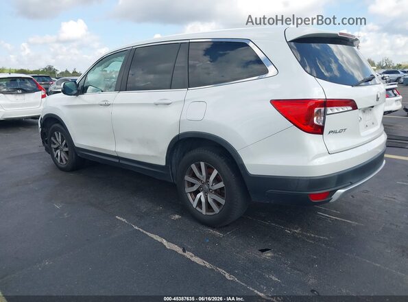 5FNYF6H56MB037274 2021 HONDA PILOT White უკანა მარცხენა