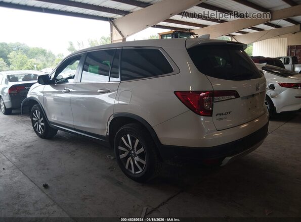 5FNYF6H57LB067804 2020 HONDA PILOT White უკანა მარცხენა
