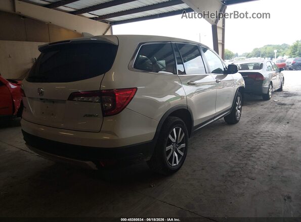 5FNYF6H57LB067804 2020 HONDA PILOT White უკანა მარჯვენა