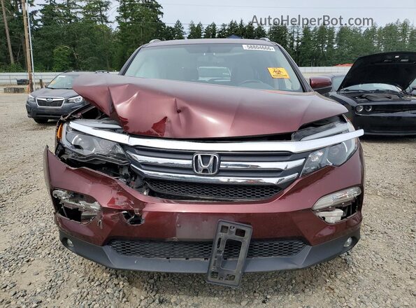 5FNYF6H76JB049955 2018 HONDA PILOT Burgundy Vista frontal