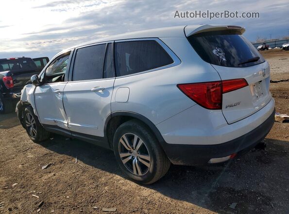 5FNYF6H83HB079448 2017 HONDA PILOT White Задня ліва чверть