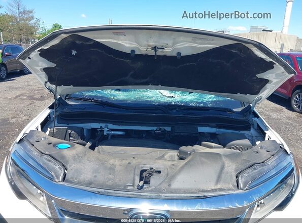 5FNYF6H96MB058533 2021 HONDA PILOT White Rear view