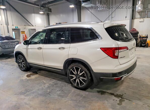 5FNYF6H99MB505839 2021 HONDA PILOT White უკანა მარცხენა