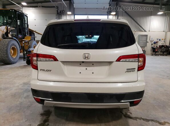 5FNYF6H99MB505839 2021 HONDA PILOT White უკანა ხედი