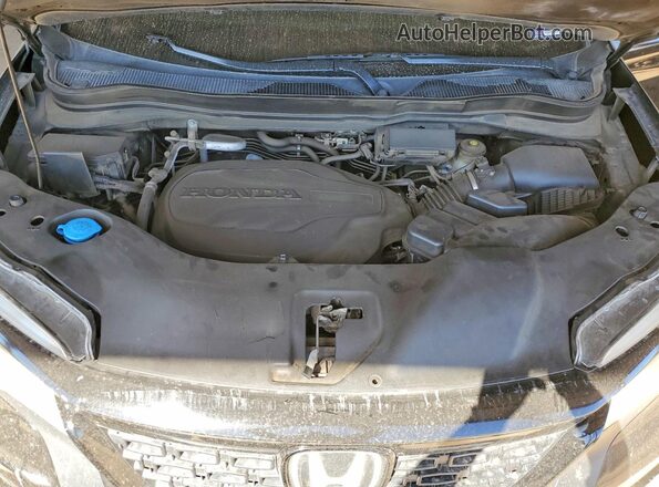 5FNYF8H0XMB028044 2021 HONDA PASSPORT Black Սալոնի հետևի տեսք