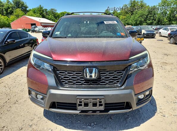 5FNYF8H50MB042613 2021 HONDA PASSPORT Burgundy Front view