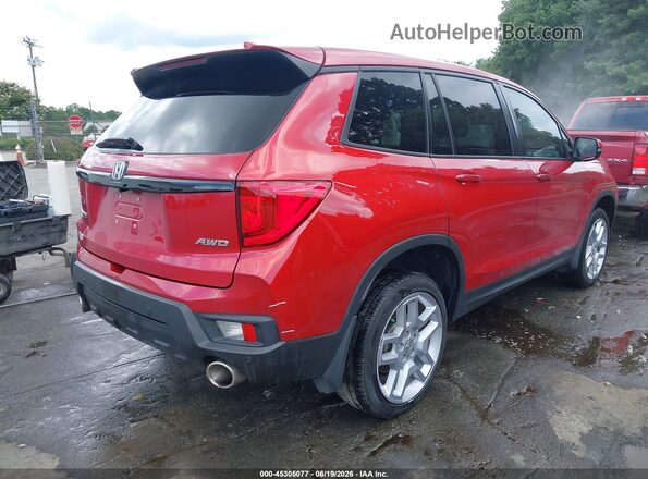 5FNYF8H53RB006907 2024 HONDA PASSPORT Red Tył prawy