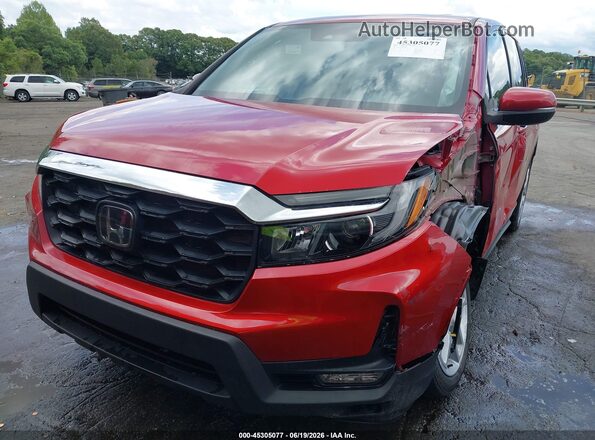 5FNYF8H53RB006907 2024 HONDA PASSPORT Red Widok wnętrza z tyłu