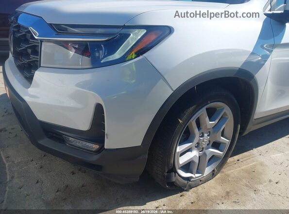 5FNYF8H54RB010075 2024 HONDA PASSPORT White Դիմացի տեսք