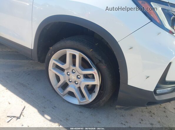 5FNYF8H54RB010075 2024 HONDA PASSPORT White 