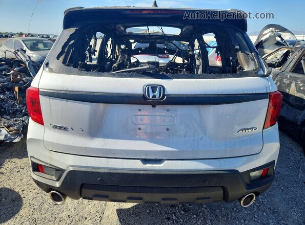 5FNYF8H55PB024516 2023 HONDA PASSPORT White 