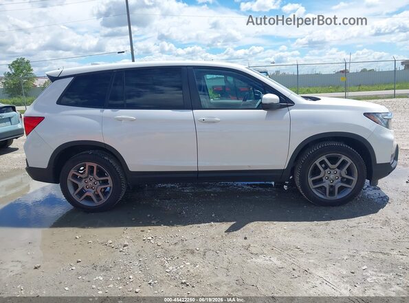 5FNYF8H59PB024597 2023 HONDA PASSPORT Белый Вид задней части салона