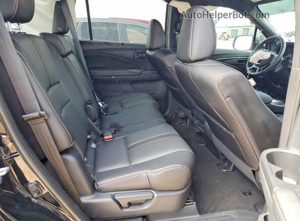 5FNYF8H60RB021938 2024 HONDA PASSPORT Black Rear seats view