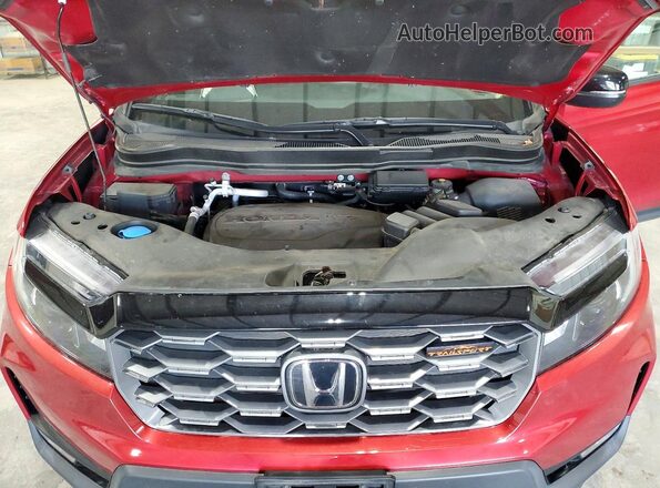 5FNYF8H62NB012751 2022 HONDA PASSPORT Red 