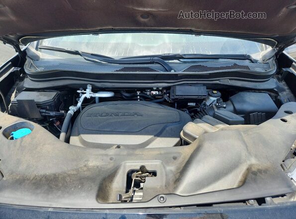 5FNYF8H66PB013744 2023 HONDA PASSPORT Черный Вид задней части салона
