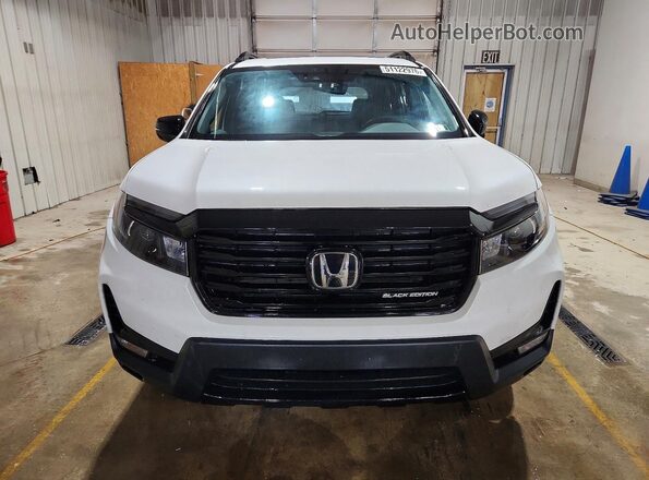 5FNYF8H81RB002302 2024 HONDA PASSPORT Белый 