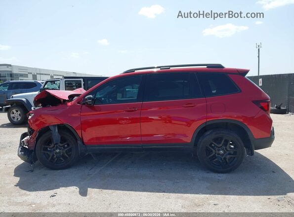 5FNYF8H85RB015778 2024 HONDA PASSPORT Red Սալոնի 360 աստիճան տեսք