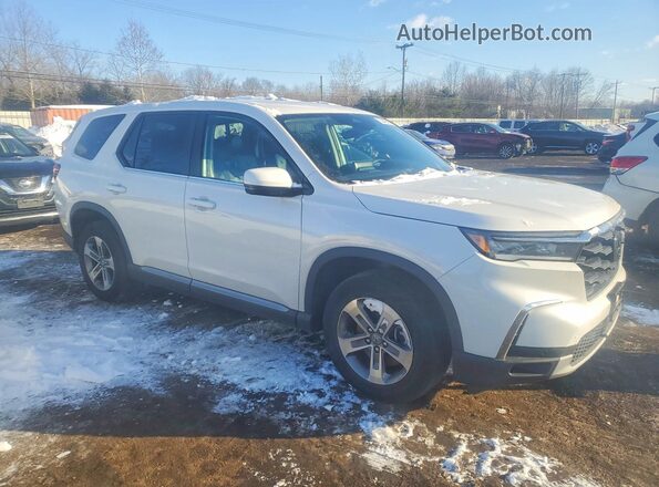 5FNYG1H42RB016811 2024 HONDA PILOT White 