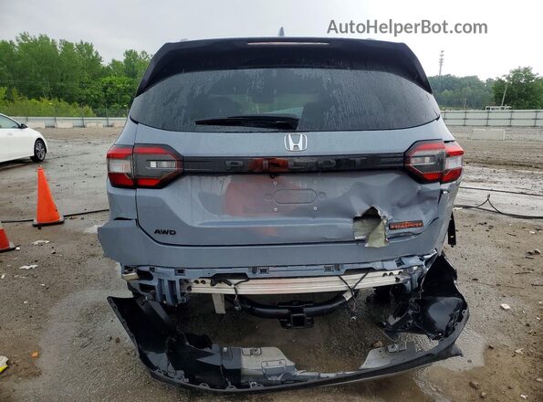5FNYG1H64SB104900 2025 HONDA PILOT Gray Вид ззаду