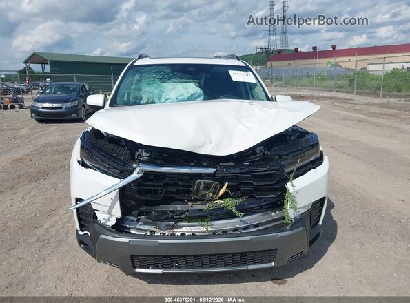 5FNYG1H71TB016431 2026 HONDA PILOT Белый Вид щитка приборов