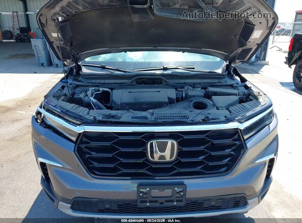 5FNYG1H73PB021202 2023 HONDA PILOT Gray Widok z tyłu