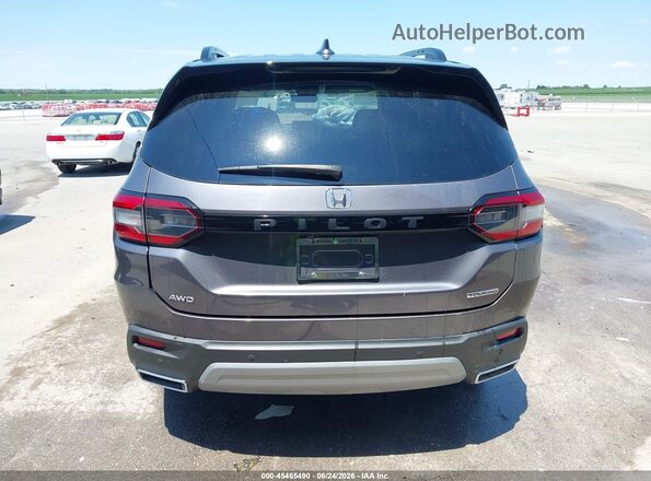 5FNYG1H73PB021202 2023 HONDA PILOT Gray 