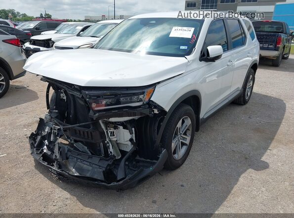 5FNYG2H40RB005084 2024 HONDA PILOT White Przód lewy
