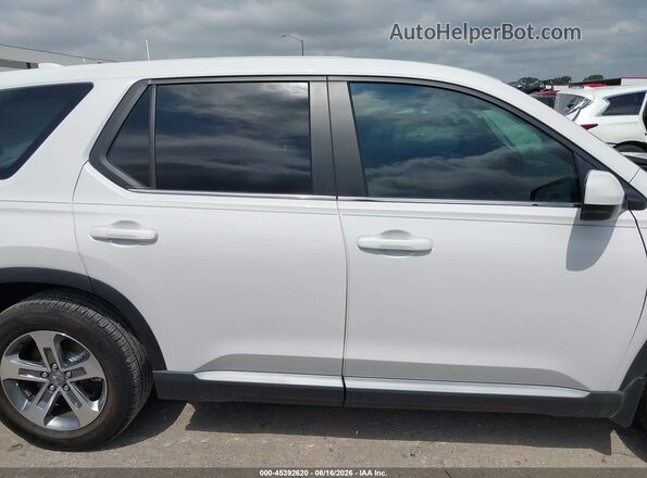 5FNYG2H40RB005084 2024 HONDA PILOT White Widok wnętrza z tyłu