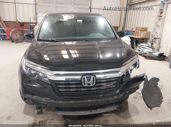5FPYK3F16HB033216 2017 HONDA RIDGELINE Black Սալոնի հետևի տեսք