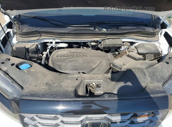 5FPYK3F69RB026595 2024 HONDA RIDGELINE White Rear interior view
