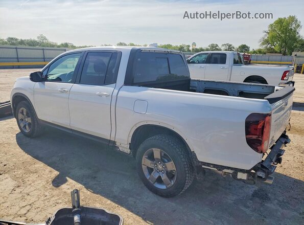 5FPYK3F69RB026595 2024 HONDA RIDGELINE White Rear left