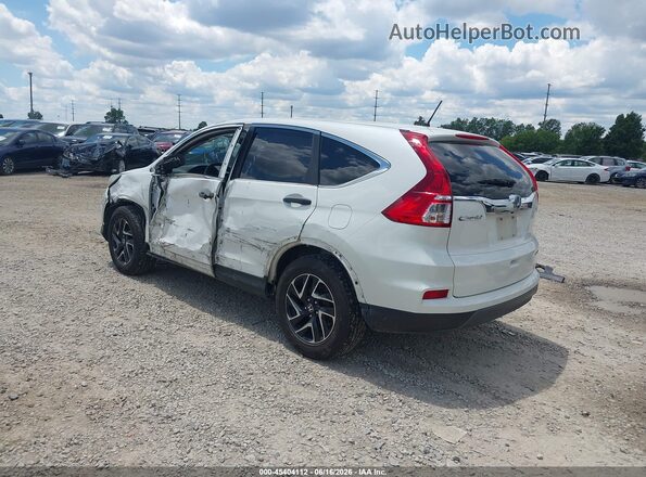 5J6RM4H41GL012929 2016 HONDA CR-V White Задня ліва чверть
