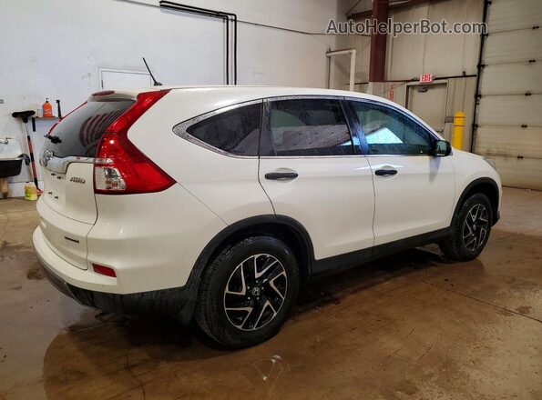 5J6RM4H43GL020076 2016 HONDA CR-V White უკანა მარჯვენა