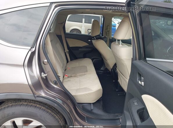5J6RM4H59GL095664 2016 HONDA CR-V Gray VIN կոդի պիտակի տեսք