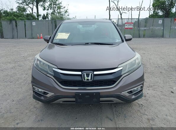 5J6RM4H59GL095664 2016 HONDA CR-V Gray Սալոնի հետևի տեսք