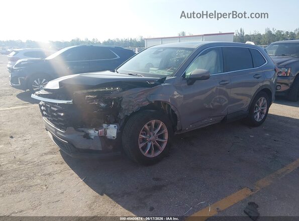 5J6RS3H48RL004006 2024 HONDA CR-V Gray Front left