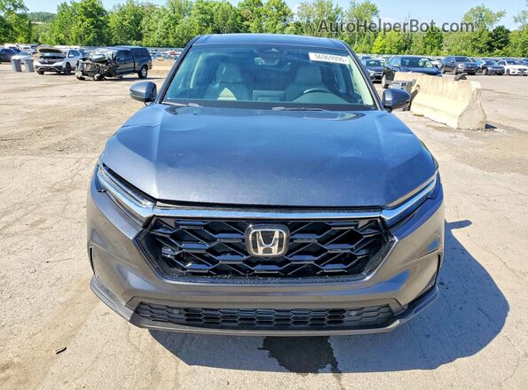 5J6RS4H71RL010018 2024 HONDA CR-V Gray Вид спереду