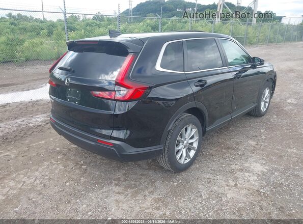5J6RS4H76RL010029 2024 HONDA CR-V Black Rear right