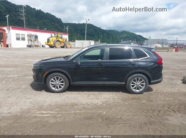 5J6RS4H76RL010029 2024 HONDA CR-V Black 