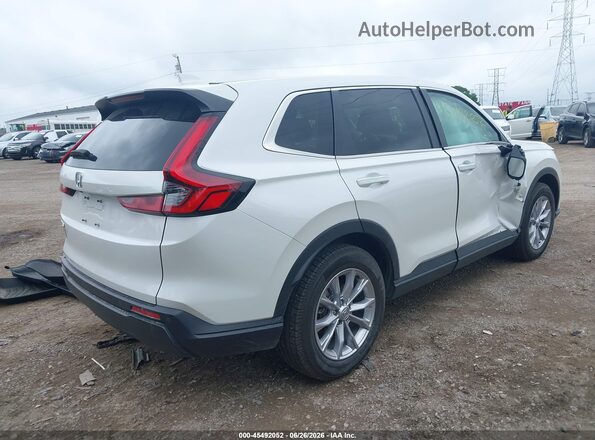 5J6RS4H79RL004189 2024 HONDA CR-V White Tył prawy