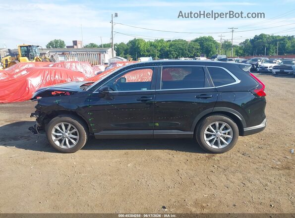 5J6RS4H7XSL005406 2025 HONDA CR-V Black Панорамний вид салону 360°