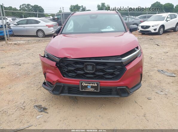 5J6RS6H80RL022357 2024 HONDA CR-V Burgundy წინა ხედი