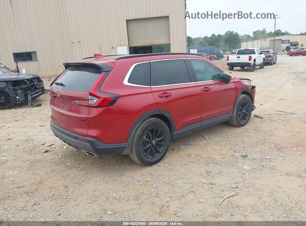 5J6RS6H80RL022357 2024 HONDA CR-V Burgundy უკანა მარჯვენა