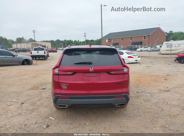 5J6RS6H80RL022357 2024 HONDA CR-V Burgundy 