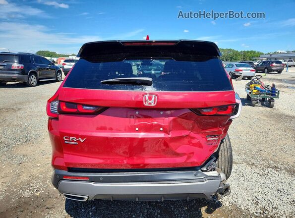 5J6RS6H90RL020021 2024 HONDA CR-V Burgundy Rear view