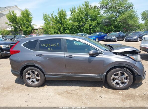 5J6RW1H50KA028514 2019 HONDA CR-V Gray Սալոնի հետևի տեսք