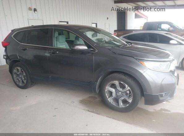 5J6RW1H53KA044612 2019 HONDA CR-V Gray უკანა სალონის ხედი