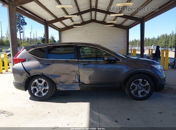 5J6RW1H55KA011241 2019 HONDA CR-V Gray Սալոնի հետևի տեսք