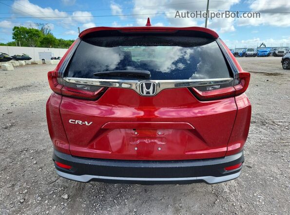 5J6RW1H5XLL003464 2020 HONDA CR-V Красный Вид сзади