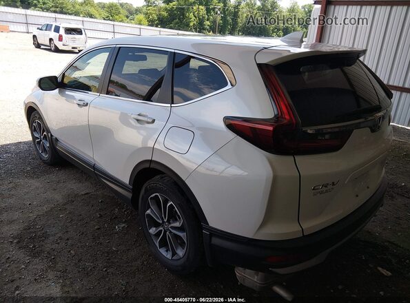 5J6RW1H80NA016393 2022 HONDA CR-V White უკანა მარცხენა